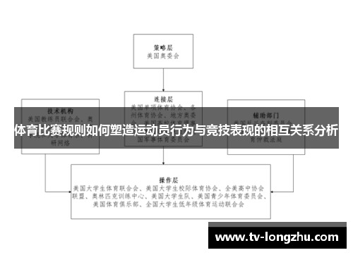 体育比赛规则如何塑造运动员行为与竞技表现的相互关系分析